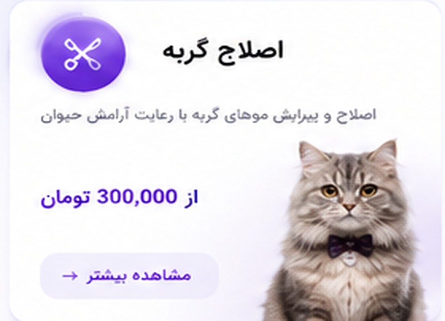 اصلاح گربه